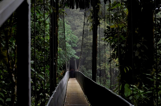 Gibbon Travel - My Travels - Costa Rica - Mistico Hanging Bridges