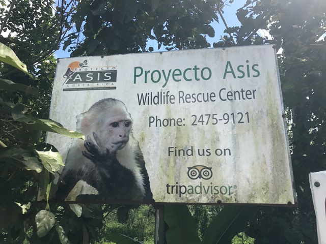Gibbon Travel - My Travels - Costa Rica - Proyecto Asis